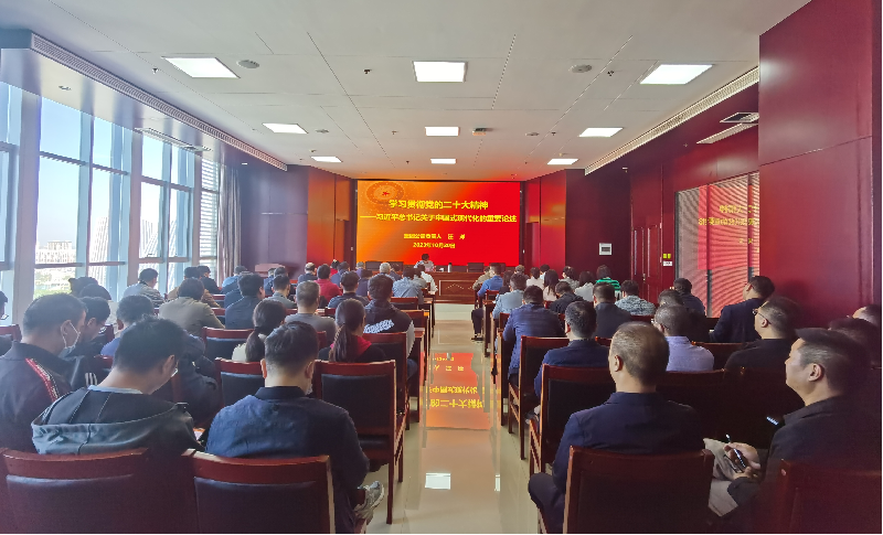 紧跟核心强忠诚 在深学细悟中坚定信仰信念 ——yl23455永利集团官网负责人汪洋同志为全体党员讲授主题教育专题党课